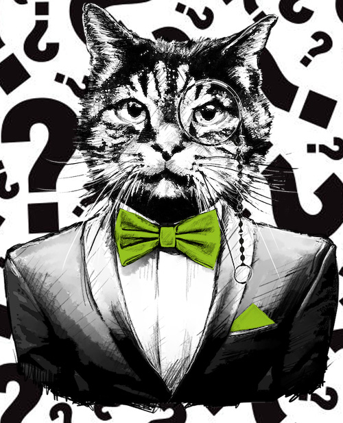 Katze-faq