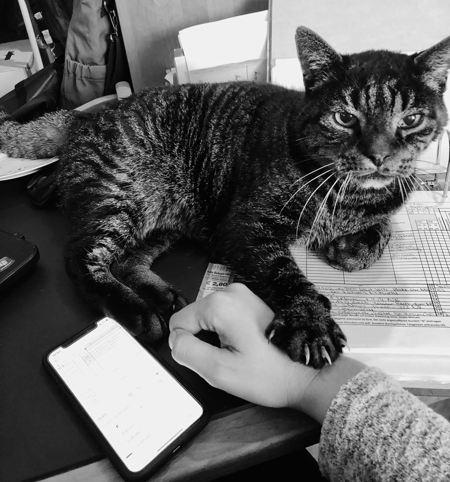 kater-hand